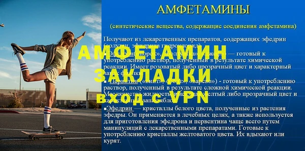 шишки Няндома