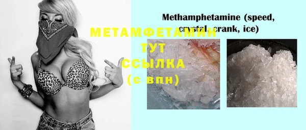 шишки Няндома