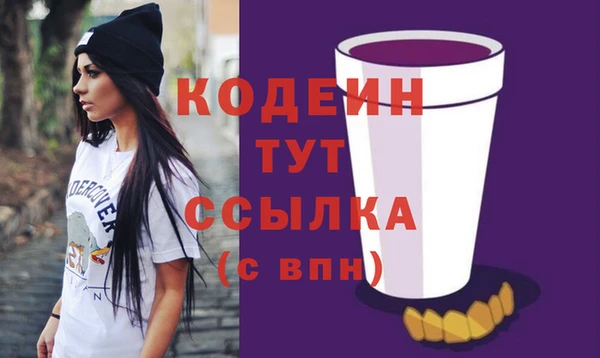 шишки Няндома