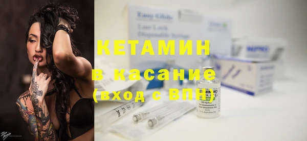 шишки Няндома