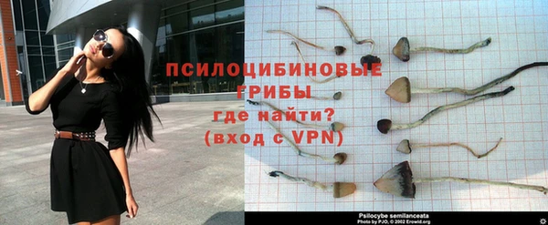 гидра Осташков