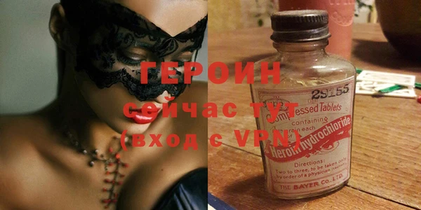 шишки Няндома