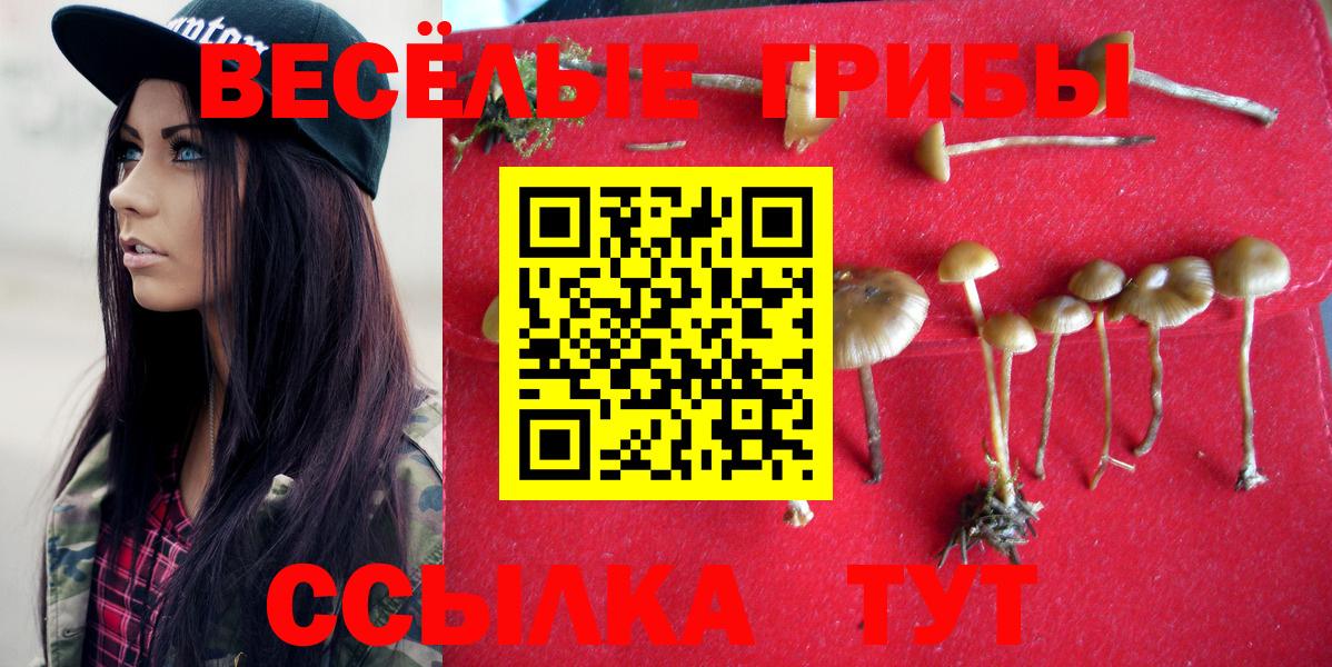 Псилоцибиновые грибы MAGIC MUSHROOMS  Галлюциногенные грибы Cubensis  Вход с VPN  Краснокаменск 
